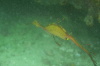 DSC_1654.jpg
