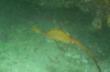 DSC_1655.jpg