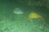 DSC_1656.jpg