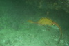 DSC_1658.jpg