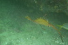 DSC_1659.jpg