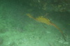 DSC_1660.jpg
