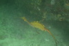 DSC_1661.jpg