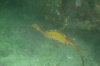 DSC_1662.jpg