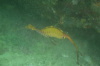 DSC_1663.jpg