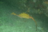 DSC_1664.jpg