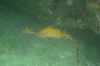 DSC_1665.jpg