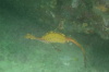 DSC_1666.jpg