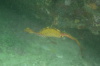 DSC_1667.jpg