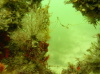 DSCN4512.jpg