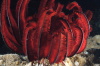 DSC_1914.jpg
