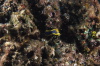 DSC_1922.jpg