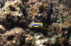 DSC_1923.jpg