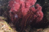 DSC_1924.jpg
