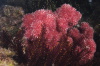 DSC_1925.jpg
