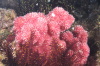 DSC_1926.jpg