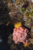 DSC_1927.jpg