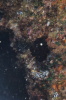 DSC_1928.jpg
