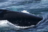 DSC_1180.jpg