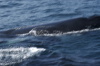 DSC_1187.jpg