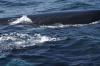 DSC_1189.jpg