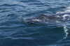 DSC_1213.jpg