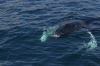 DSC_1214.jpg