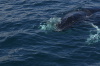 DSC_1215.jpg