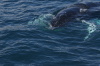 DSC_1216.jpg