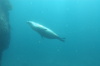 DSC_1262.jpg