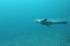 DSC_1276.jpg