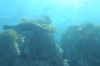 DSC_1277.jpg