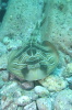 DSC_1351.jpg