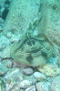 DSC_1352.jpg