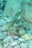 DSC_1353.jpg