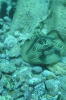 DSC_1355.jpg