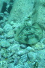 DSC_1356.jpg