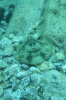 DSC_1359.jpg