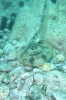 DSC_1360.jpg