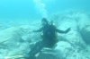 DSC_1374.jpg