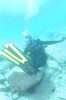 DSC_1375.jpg