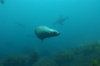 DSC_1404.jpg