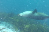 DSC_1481.jpg