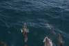 DSC_1512.jpg