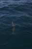 DSC_1515.jpg