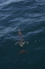 DSC_1516.jpg