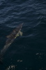 DSC_1520.jpg