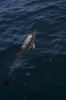 DSC_1521.jpg