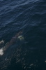 DSC_1523.jpg