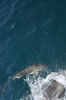 DSC_1527.jpg